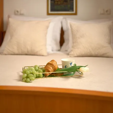 Apartman Boris *